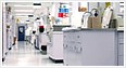 cell line generation service
